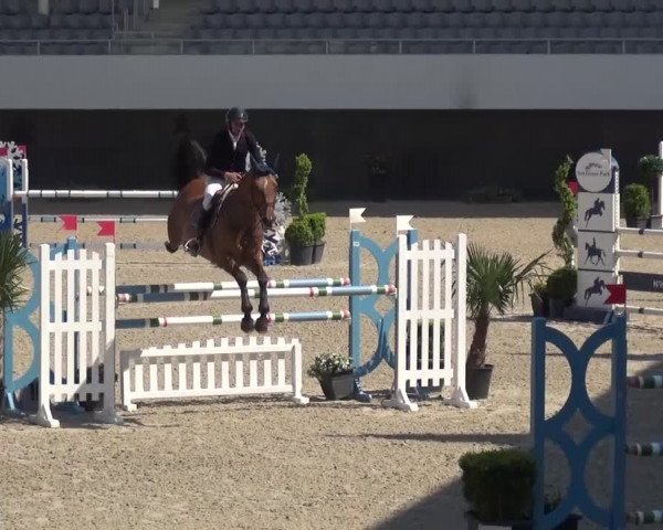FEI Reitturnier Aachen (GER) 2016