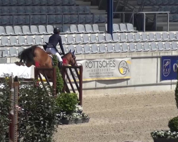 FEI Reitturnier Aachen (GER) 2016