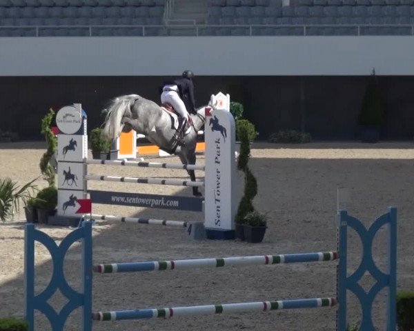 FEI Reitturnier Aachen (GER) 2016