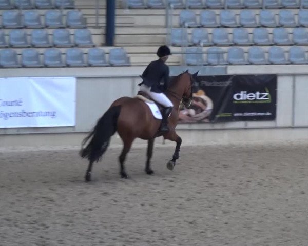 FEI Reitturnier Aachen (GER) 2016