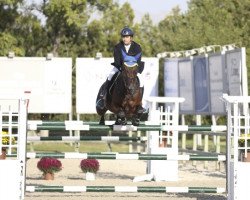 jumper Carlito Rk (KWPN (Royal Dutch Sporthorse), 2007, from Darco)