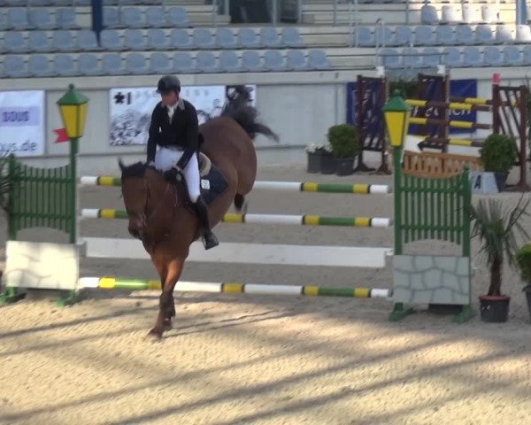 FEI Reitturnier Aachen (GER) 2016