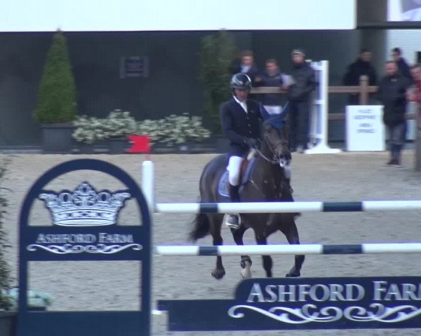 FEI Reitturnier Aachen (GER) 2016