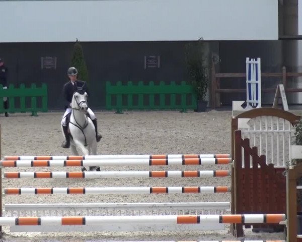 FEI Reitturnier Aachen (GER) 2016