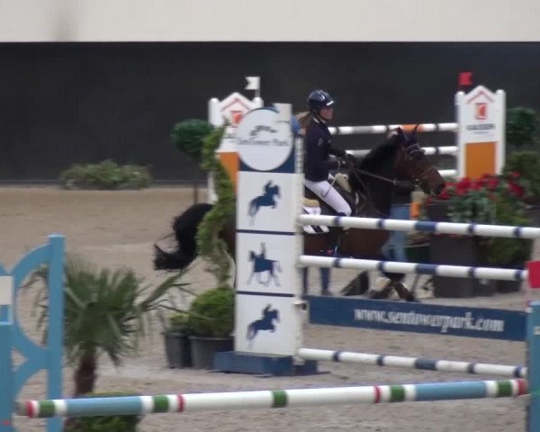 FEI Reitturnier Aachen (GER) 2016