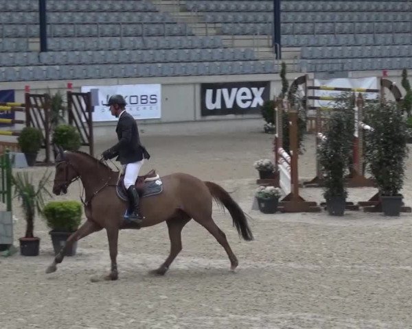 FEI Reitturnier Aachen (GER) 2016