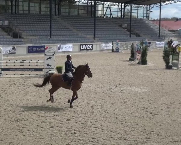 FEI Reitturnier Aachen (GER) 2016