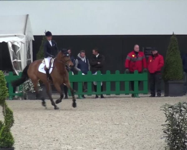 FEI Reitturnier Aachen (GER) 2016