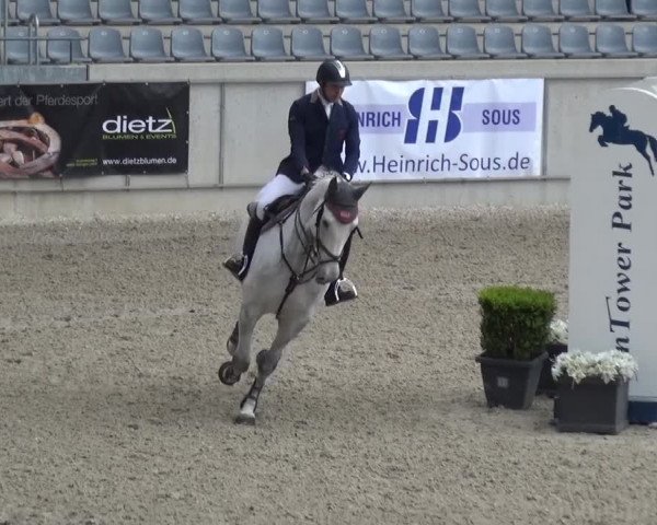 FEI Reitturnier Aachen (GER) 2016