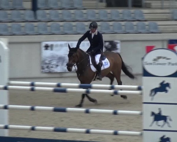 FEI Reitturnier Aachen (GER) 2016