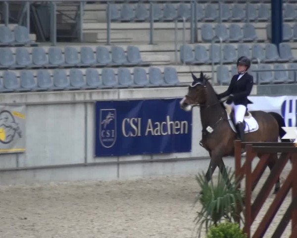 FEI Reitturnier Aachen (GER) 2016