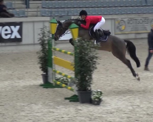 FEI Reitturnier Aachen (GER) 2016
