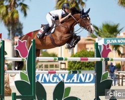 jumper Gentleman (KWPN (Royal Dutch Sporthorse), 2011, from Vigaro)