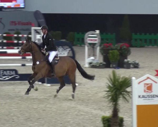 FEI Reitturnier Aachen (GER) 2016