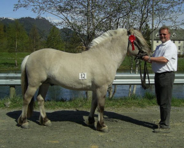 stallion Lunner Per N.2611 (Fjord Horse, 2003, from Lunner Graaen N-99-2625)