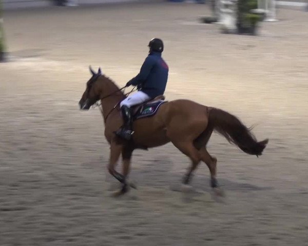 FEI Reitturnier Aachen (GER) 2016