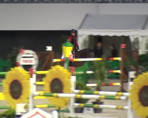FEI Reitturnier Aachen (GER) 2016