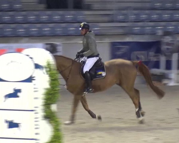 FEI Reitturnier Aachen (GER) 2016