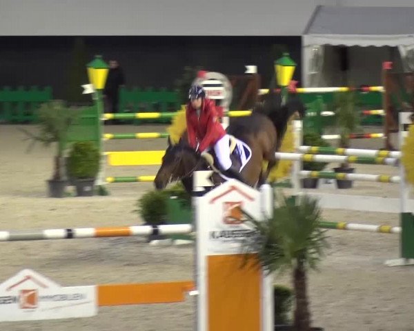 FEI Reitturnier Aachen (GER) 2016