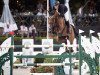 jumper Catwalk Harry (Irish Sport Horse, 2009, from Verdi)