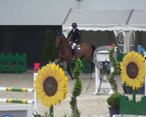 FEI Reitturnier Aachen (GER) 2016