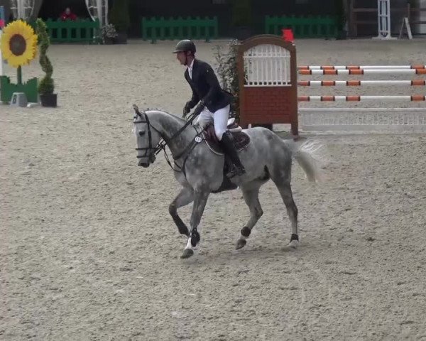 FEI Reitturnier Aachen (GER) 2016