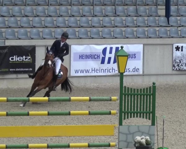 FEI Reitturnier Aachen (GER) 2016