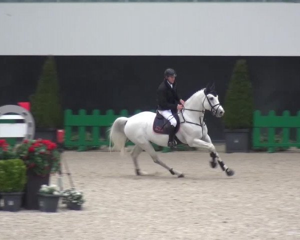 FEI Reitturnier Aachen (GER) 2016