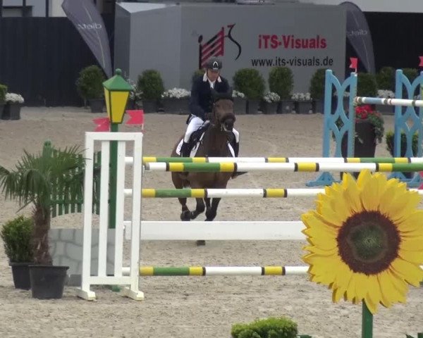 FEI Reitturnier Aachen (GER) 2016