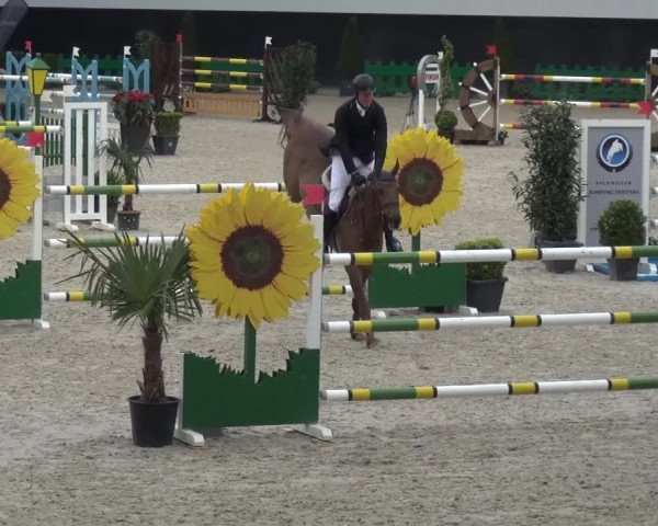 FEI Reitturnier Aachen (GER) 2016