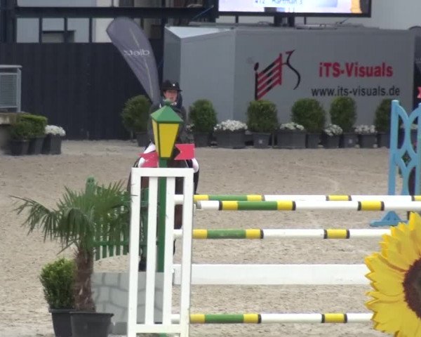 FEI Reitturnier Aachen (GER) 2016