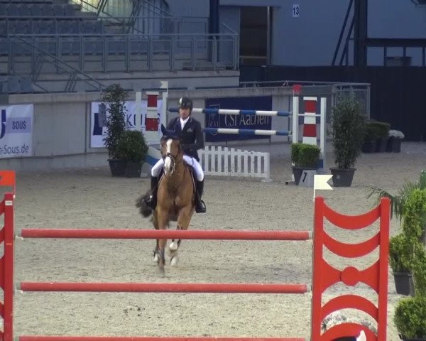 FEI Reitturnier Aachen (GER) 2016