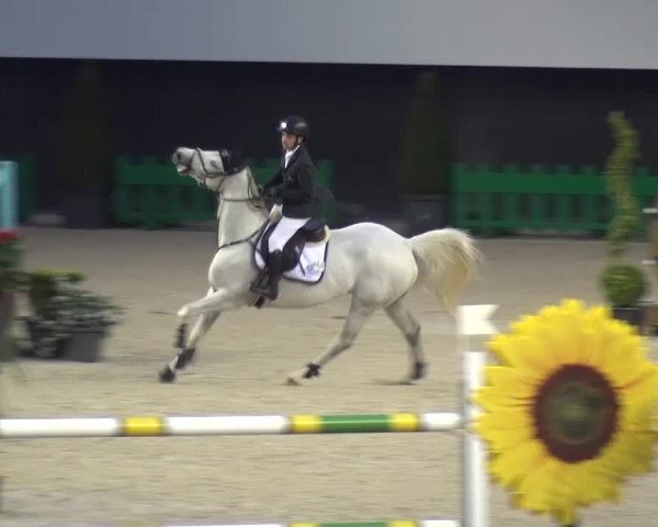 FEI Reitturnier Aachen (GER) 2016