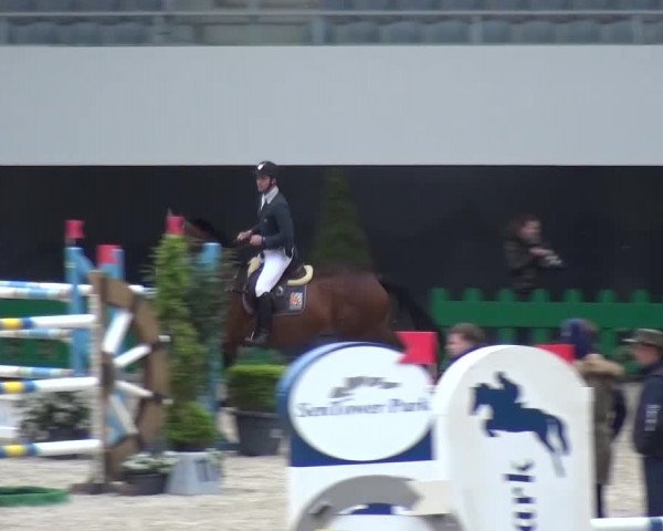 FEI Reitturnier Aachen (GER) 2016