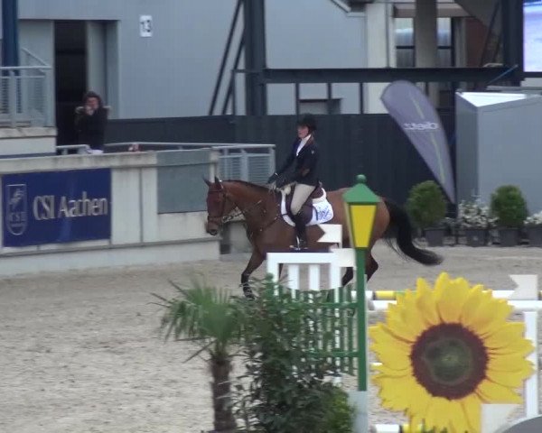 FEI Reitturnier Aachen (GER) 2016