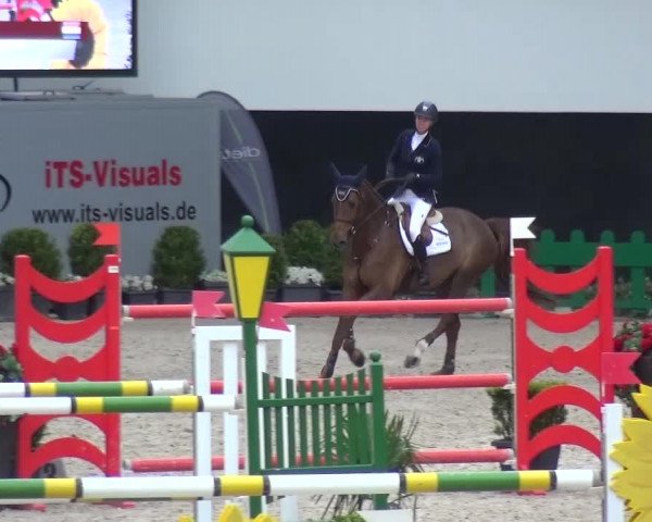 FEI Reitturnier Aachen (GER) 2016