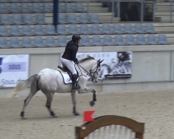 FEI Reitturnier Aachen (GER) 2016