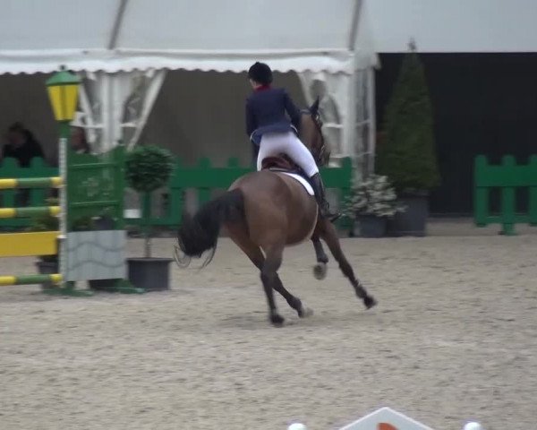 FEI Reitturnier Aachen (GER) 2016