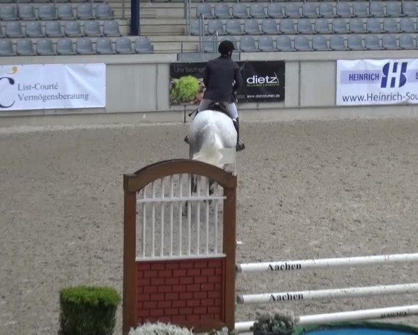 FEI Reitturnier Aachen (GER) 2016