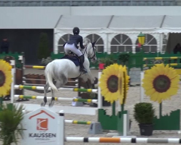 FEI Reitturnier Aachen (GER) 2016