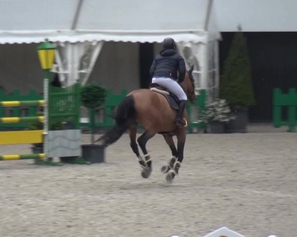 FEI Reitturnier Aachen (GER) 2016