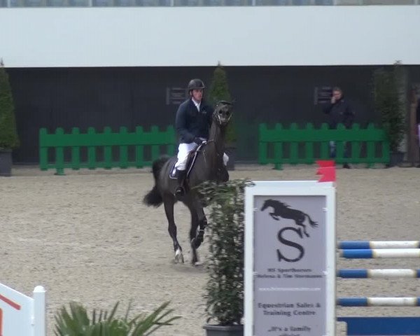 FEI Reitturnier Aachen (GER) 2016