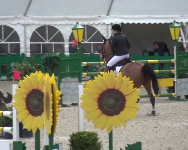 FEI Reitturnier Aachen (GER) 2016