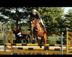 jumper Clooney 88 (Oldenburg show jumper, 2010, from Caspar (Berlin))