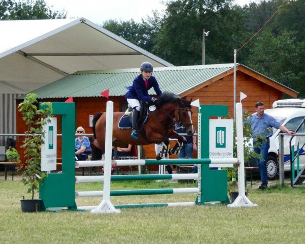 dressage horse Nica 8 (German Riding Pony, 2005, from Pico)