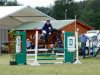 dressage horse Nica 8 (German Riding Pony, 2005, from Pico)