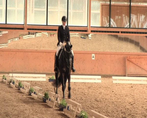 Reitturnier Iserlohn-Süd 2016
