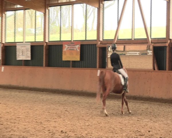 Reitturnier Iserlohn-Süd 2016