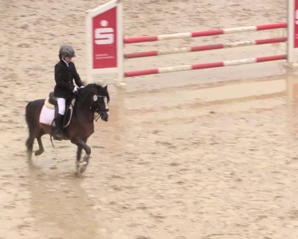Reitturnier Iserlohn-Süd 2016