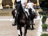 dressage horse St. Moritz Sunlight (Hanoverian, 2011, from St. Moritz Junior)